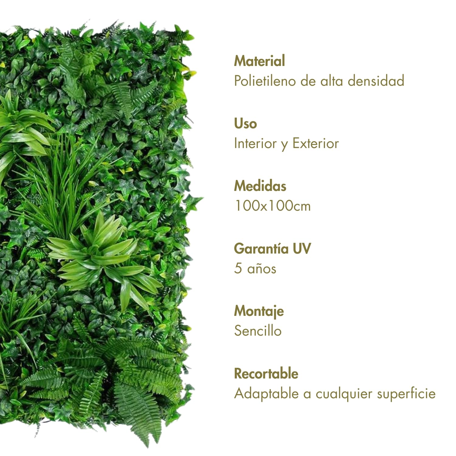 Jardín Vertical Artificial | Jardín Misterioso | Panel Vegetal Artificial 100 x 100 cm, Verde, HDPE, Garantía UV | Ideal para Paredes, Recepciones y Terrazas