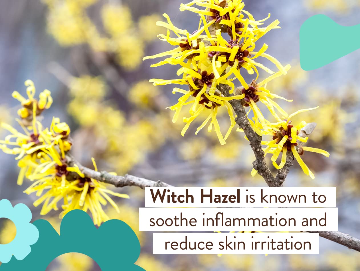 Babo Botanicals Eucalyptus Remedy Shampoo & Wash - Invigorating Eucalyptus & Rosemary Essential Oils -For all Ages - EWG Verified - Vegan - Cruelty Free - Image 6