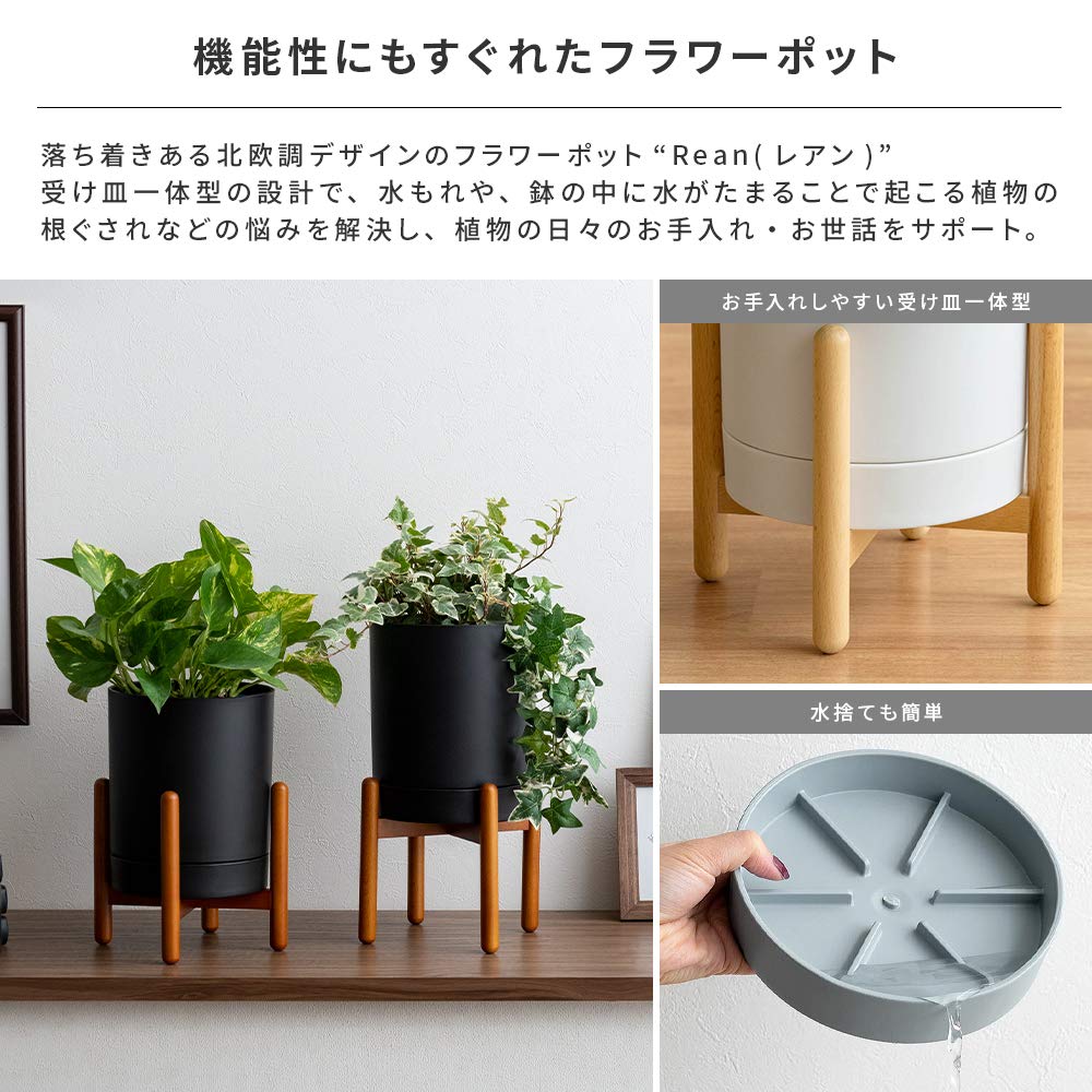 Amazon.co.jp: エア・リゾーム プランター 鉢 おしゃれ 植木鉢 観葉