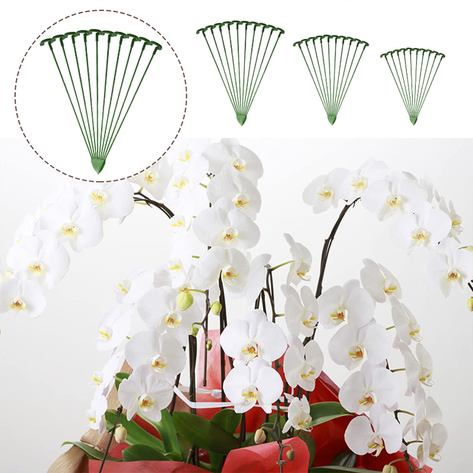 PALETTO DI SUPPORTO Per Piante A Stelo Singolo Da Giardino Da 30 Pezzi Con 4921 EUR 17,06 - Foto 11