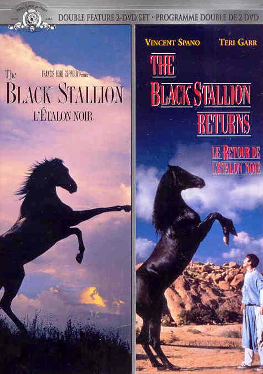 Black Stallion 1/Returns