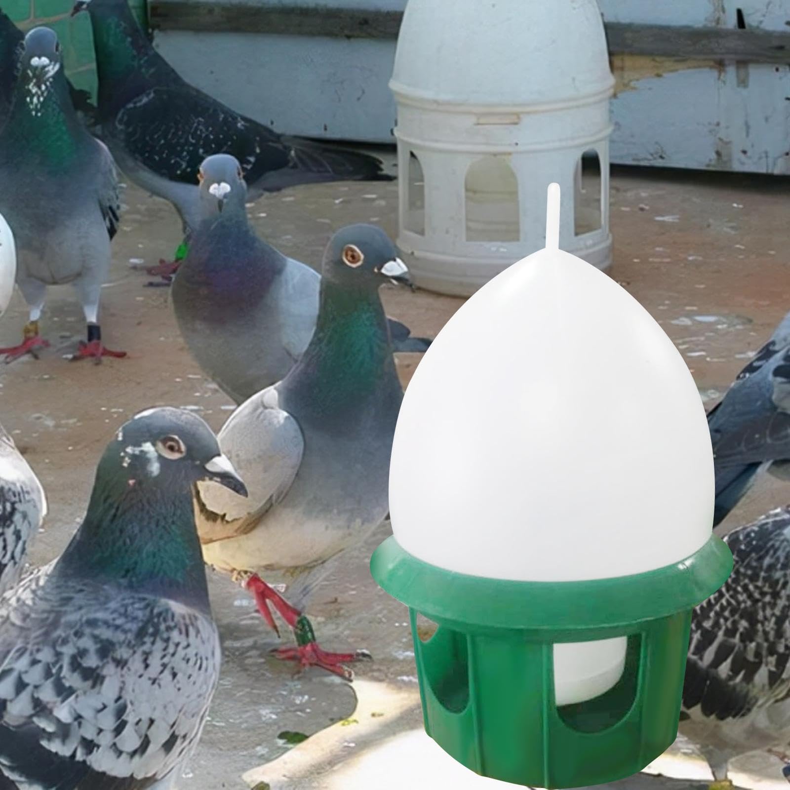Milageto Distributore d'acqua per piccioni, Abbeveratoio per uccelli, 4L verde