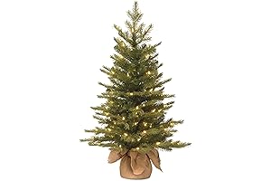 National Tree Company Pre-lit 'Feel Real' Artificial Mini Lighted Pine Tree, Green,...