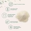 Polvo de electrolitos Micro Ingredients, 2 libras | 95 porciones | Hidratación para entrenamiento sin azúcar | Potasio, sodio, L-glutamina, beta-alanina y más | Agua de coco natural | Sabor piña colada 3