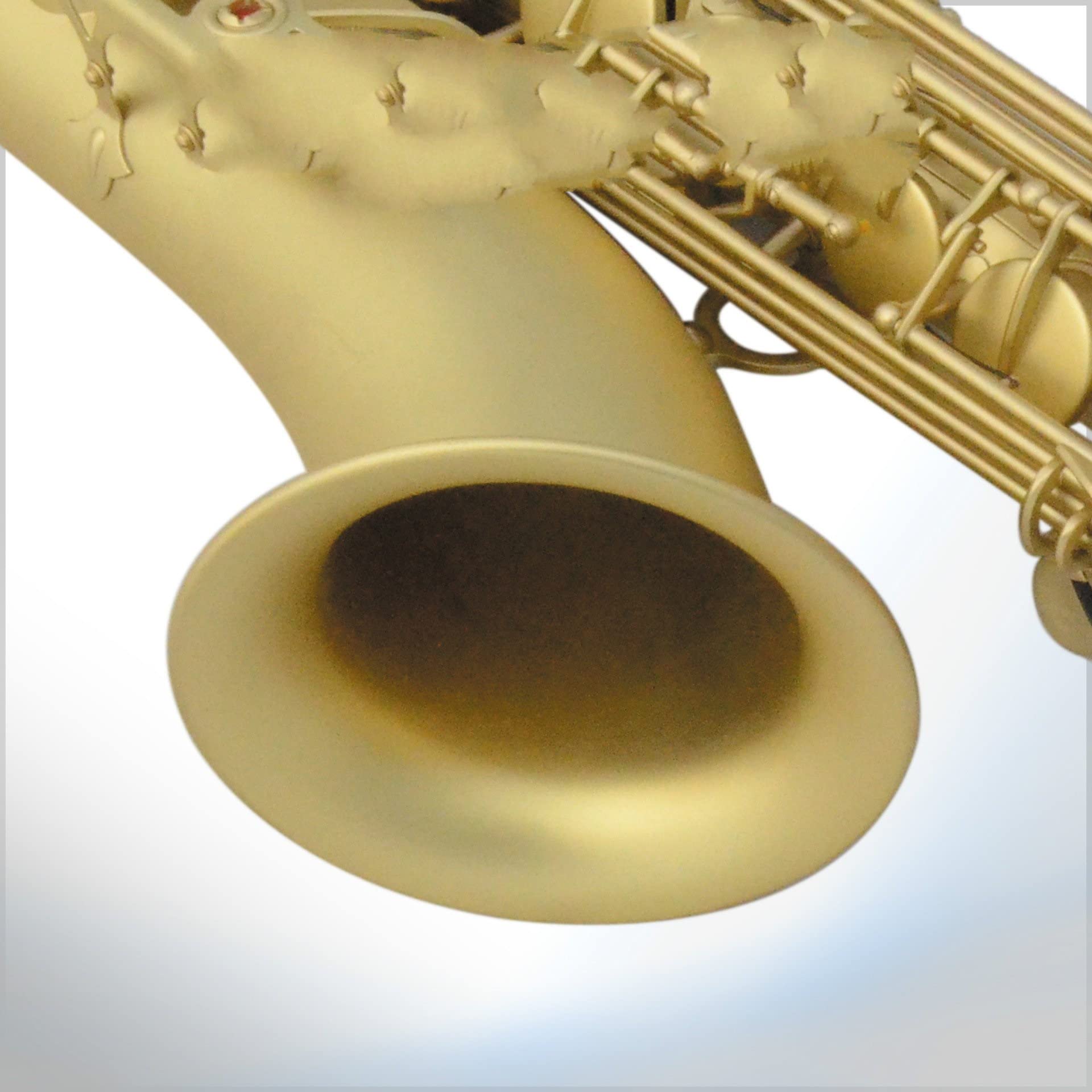 B Sassofono Tenor Sassofono Piatto Matt Golden Saxophone Principiante Performance Professionale Entry-Level Sassofono Professionale