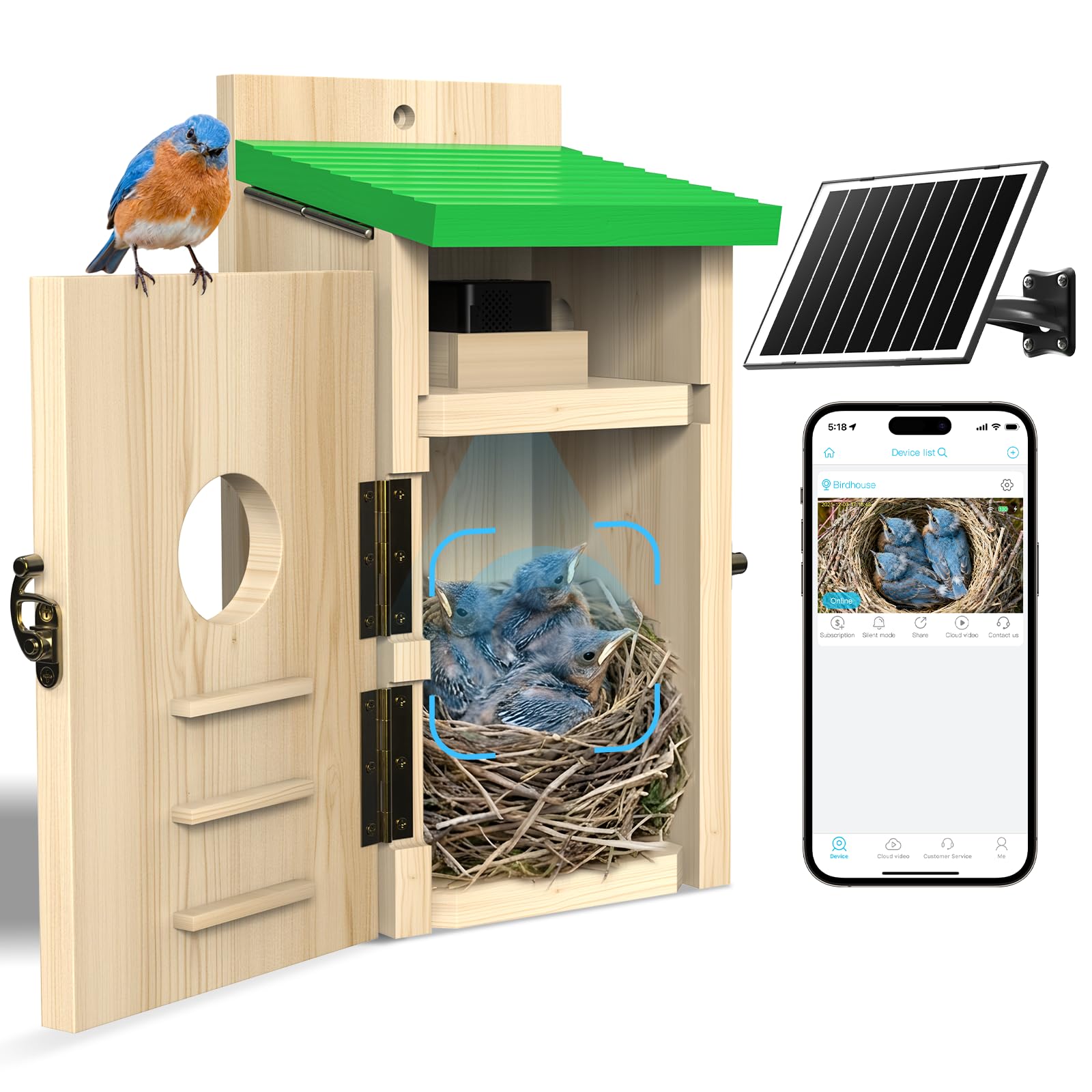 LuminiCam Bird House
