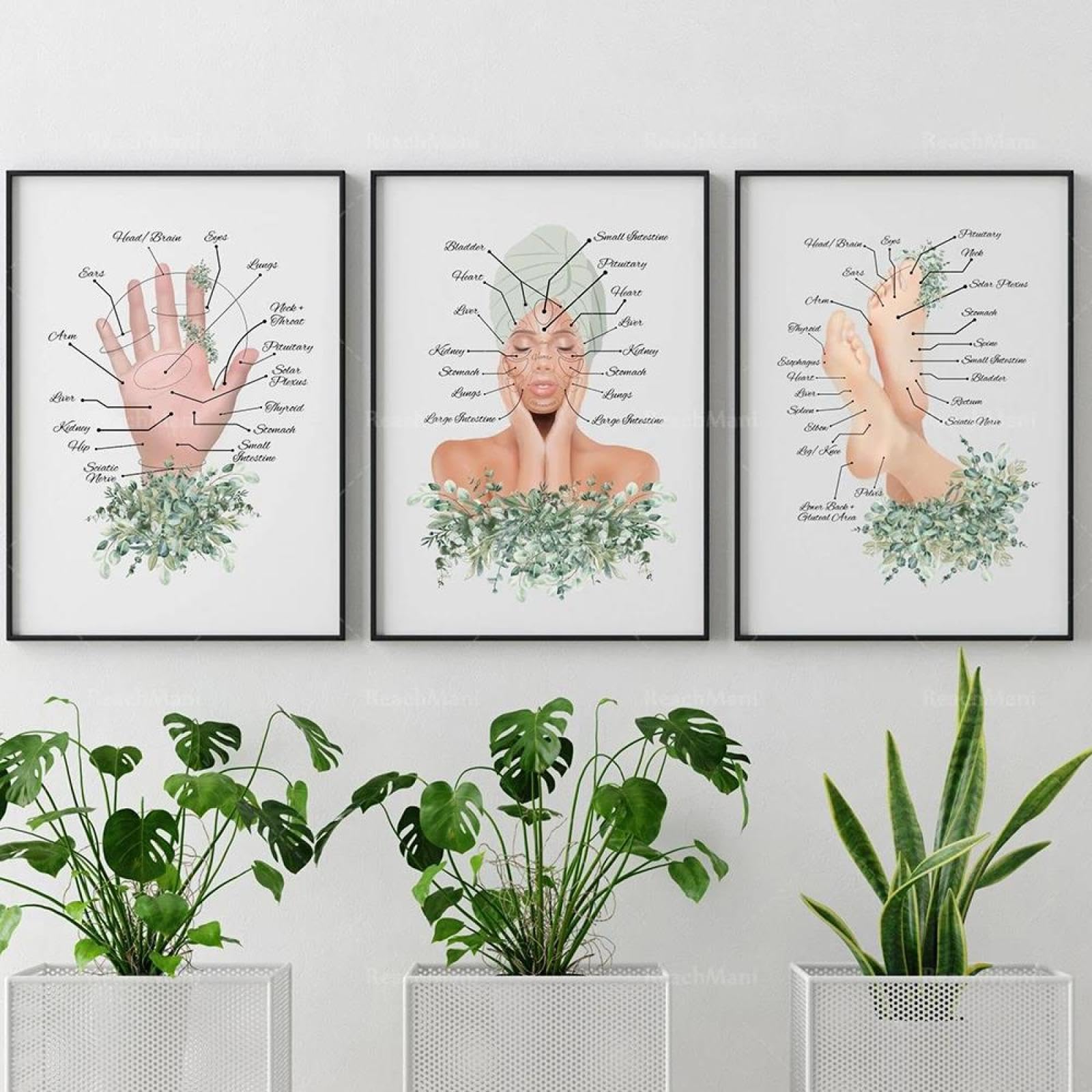 Baibexing Reflexology Infographics, Reflexology, Art Of Acupuncture, Massage Therapist Poster Canvas Painting Face Mapping, Spa Decoration 21X30cmx3pcs Unframed