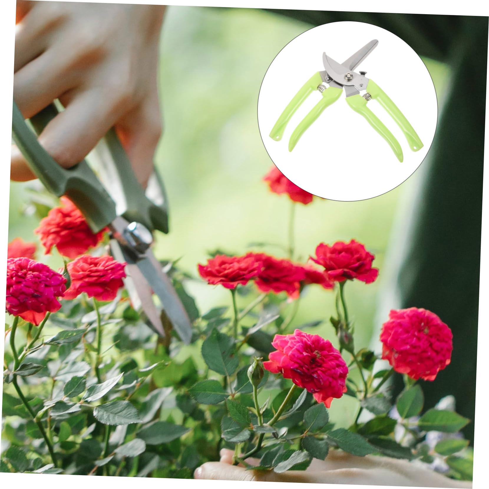 TOYANDONA 4 Sätze Gartenschneider Ergonomische Pflanzenschneider Für Präzises Trimmen Von Obstbäumen Und Pflanzen Gartenwerkzeug Mit Rutschfestem Für Müheloses 2 Stück * 4