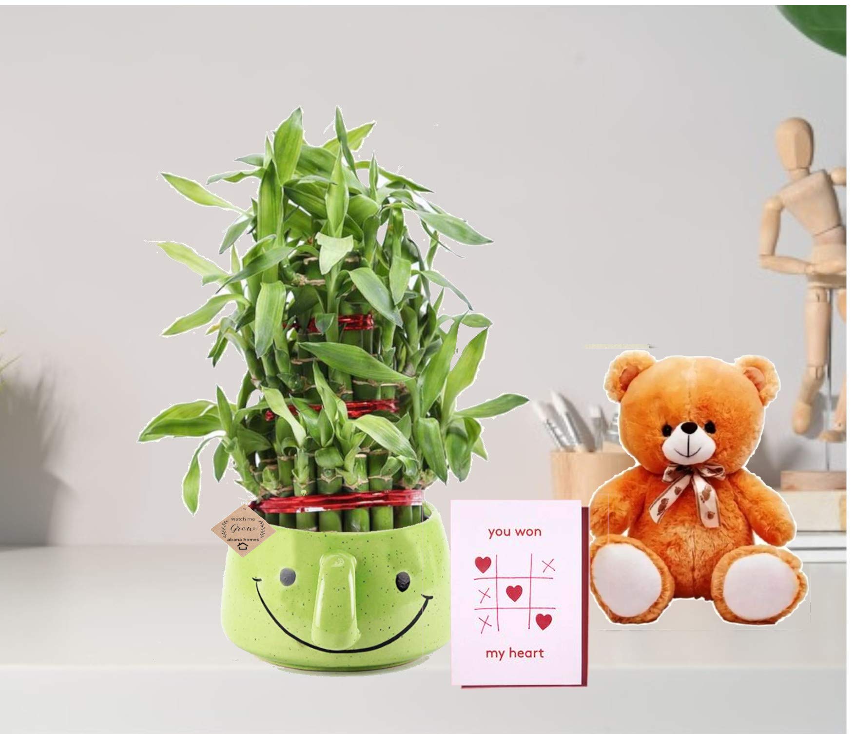 See full amazon price history chart for Abana Homes Good Luck Bamboo Plants as Diwali Gift Abana Homes Good Luck Bamboo Plants as Diwali Gift (B07ZBLSKNW) Amazon Price History, Amazon Price Tracker
