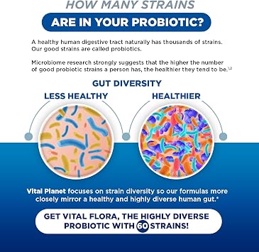 Vital Planet - Vital Flora Probiotics for Women 60 Billion CFU, Diverse Strains, Daily Shelf Stable Probiotic with Organic Prebiotics, for Vaginal Support, Immune and Digestive Health 60 Capsules