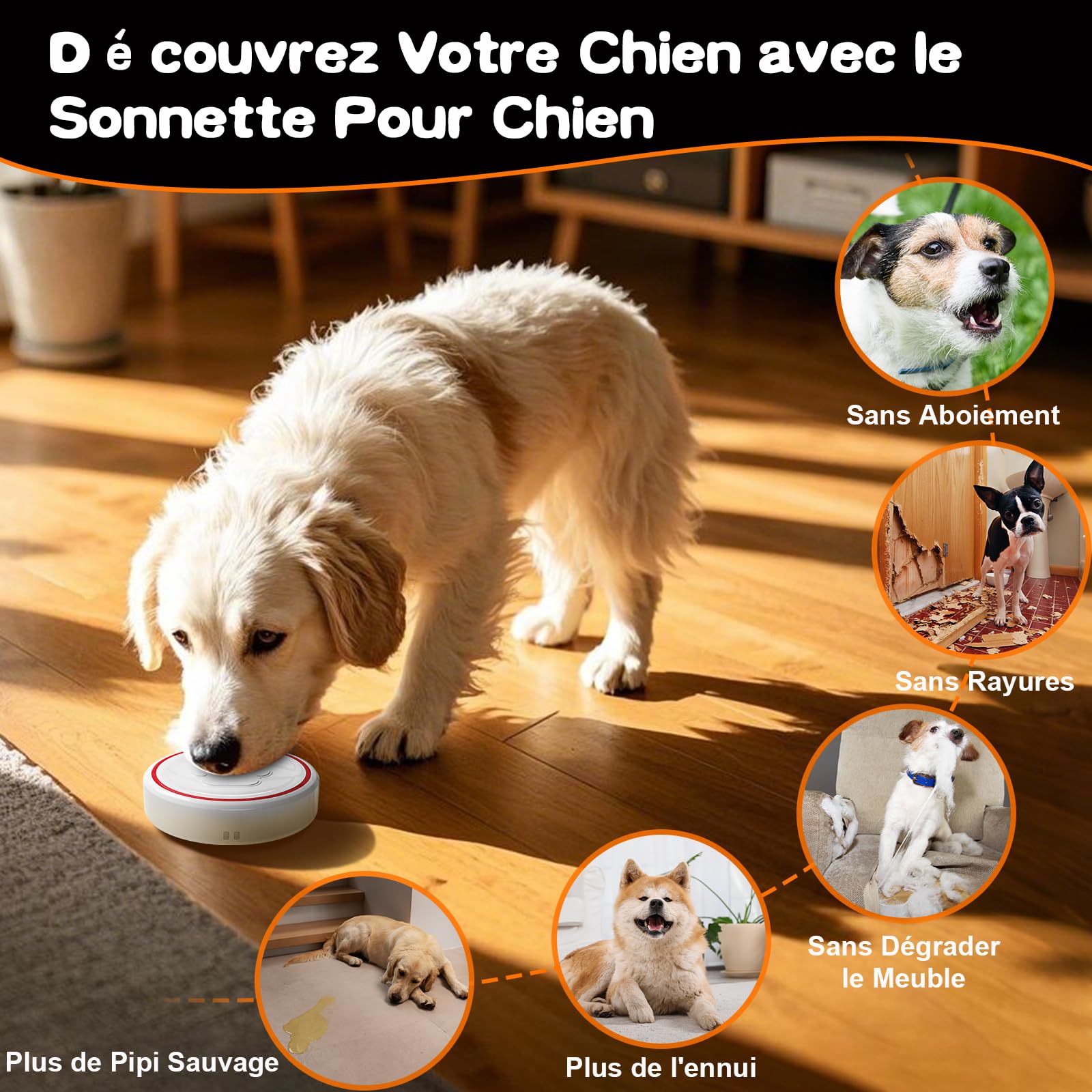 ChunHee Sonnette pour Chien Porte/Carillon pour Chat/Cloche Porte Chien - Entraînement aux Toilettes, sans Fil Étanche IP55, 55 Mélodies (1 Récepteur + 1 Émetteur)