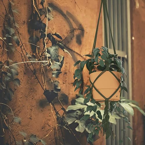 Miniatura 9 de ZUEXT - Cuerda de algodón para macramé de 0.157in x 547 yardas, hecha a mano, color verde militar, trenzada, 4 hebras, cuerda de punto para colgar