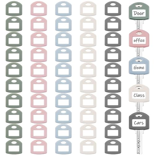 Blulu 50 Pieces Colored Key Tags with Labels 1 Inch