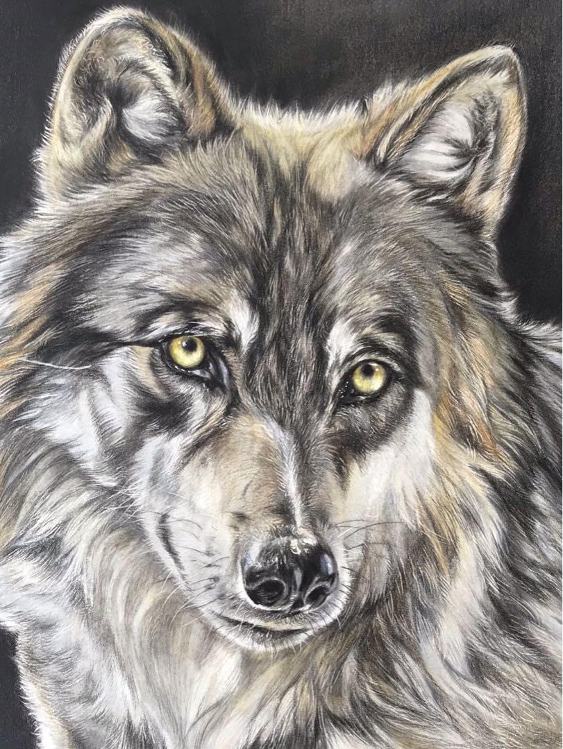 Howling Wolf Pencil シリースタイル Howling Wolf Pencil シリースタイル 2025年最新】シリー