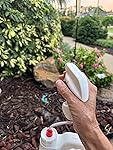 Review Image by GK5040
