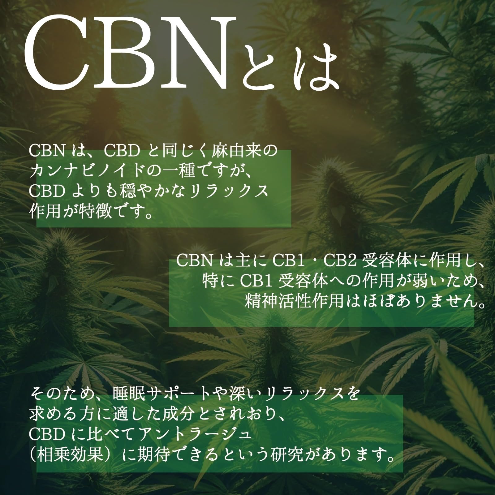 Amazon.co.jp: 道産子大麻 CBN ハーブ極 5g 2000mg 配合 道産子