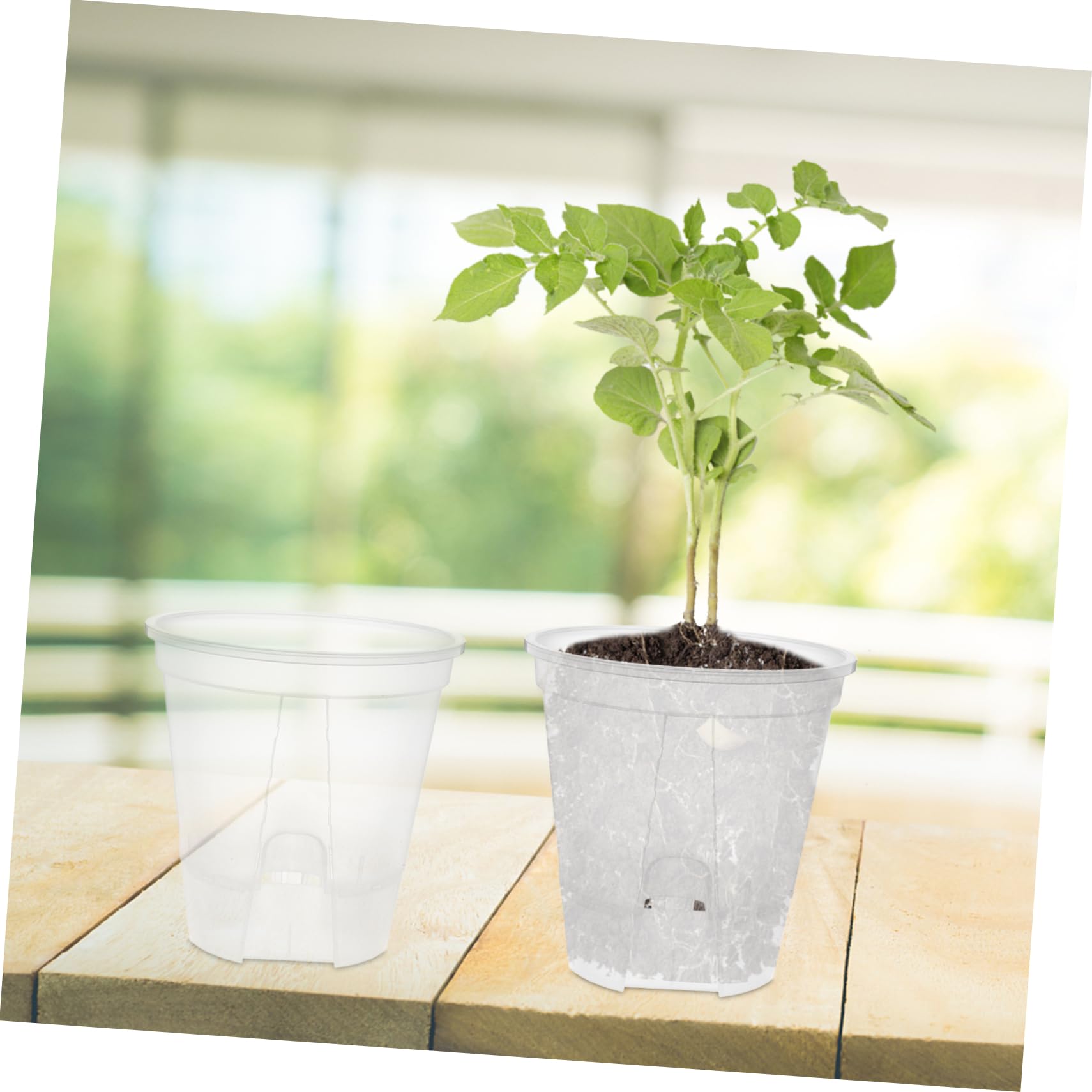 Sosoport Lot De 6 Pots Dorchidées en Plastique avec Système Darrosage Automatique pour Jardin Intérieur