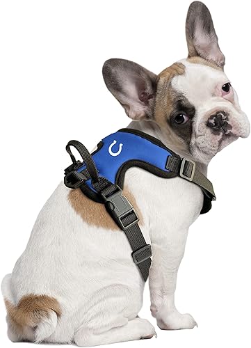 Miniatura 13 de Littlearth NFL Unisex-Adult NFL Front Clip Pet Harness