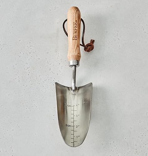 Burpee Paleta de acero inoxidable de 13 pulgadas, duradera herramienta de jardín, correa de muñeca de cuero de 5 pulgadas, mango de 10 años, roble