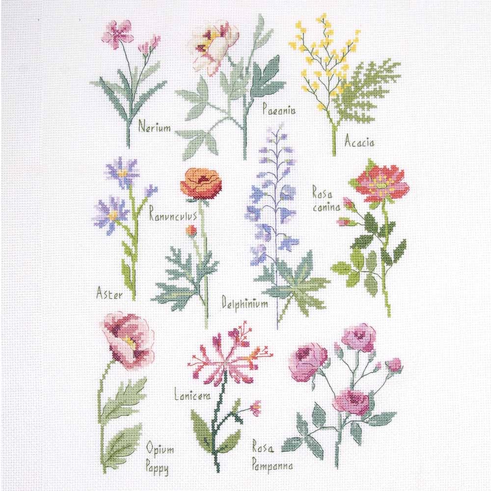Dmc Green - Botanical Board By Nathalie Weinzaepflen Intermediate Cross Stitch Kit