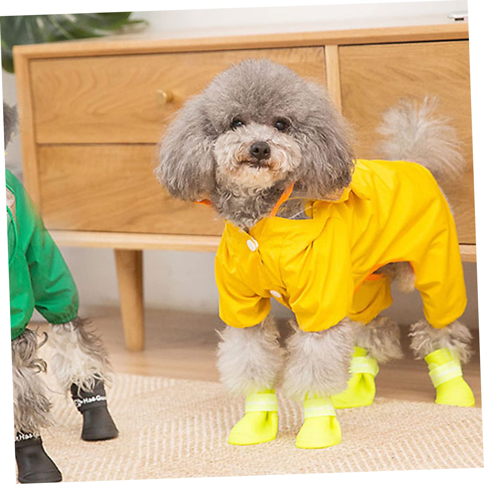 Housoutil 3pièces Manteau De Pluie Abeille pour Chien Veste Imperméable Et Mignonne pour Petits Et Moyens Chiens Élégante Et La Pluie
