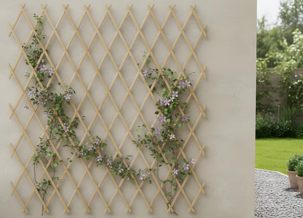 BIANCHERIAWEB Traliccio Estensibile in Legno per Piante Rampicanti Recinzione Giardino Balcone 150x200 Naturale
