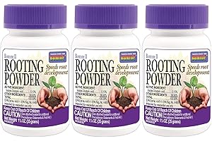 Bontone II Rooting Powder: Thrive Your Rooted Cuttings and Enhance Plant Growth