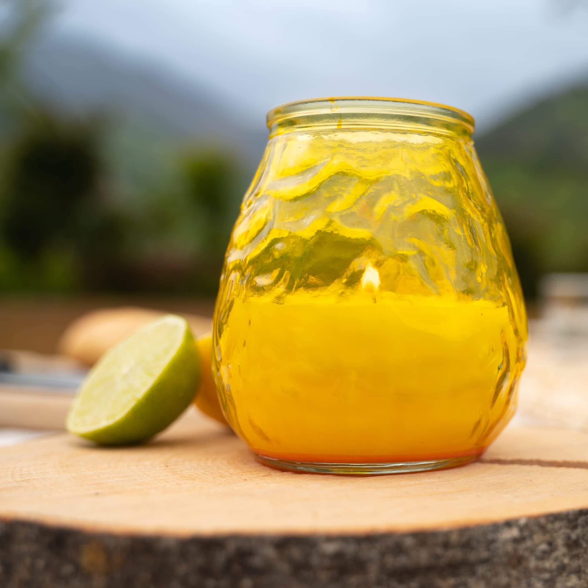 HOFER 6 luci da bistrò, citronella, portacandele per esterni, di alta qualità, in vetro con profumo di citronella, per feste in giardino, decorazione per esterni