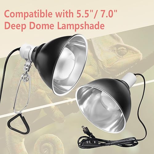 Pack of 2 Reptile Basking Light Bulbs - Incandescent 75W Simulated Sunlight UVA Heat Bulbs for Bearded Dragons, Geckos, Iguanas, Lizards, Amphibians & Small Pets(Intense Spotlight (for Desert-dwelling Reptiles),75 Watts)