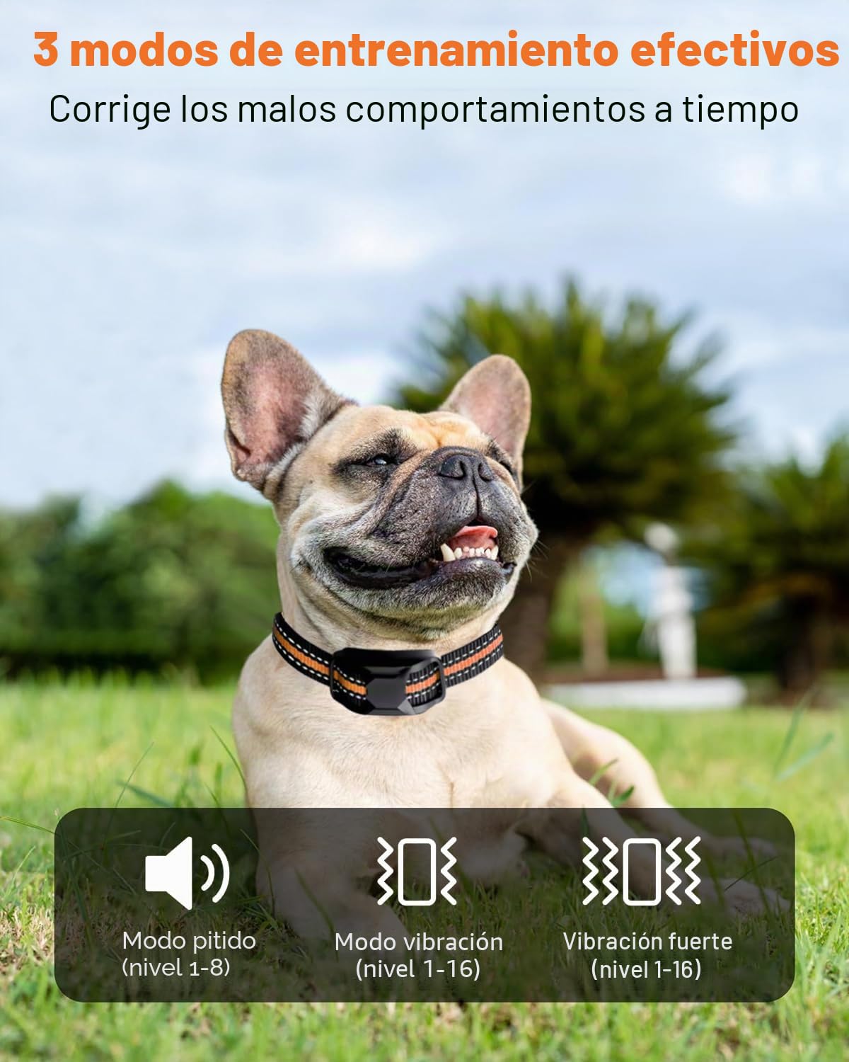 Collar de Adiestramiento para Perros, Alcance de 2600m, Cumple con la Ley de Bienestar Animal 2024, 3 Modos: Sonido/Vibración/Boost Vibración, para Perros de Todos los Tamaños | Manual en español