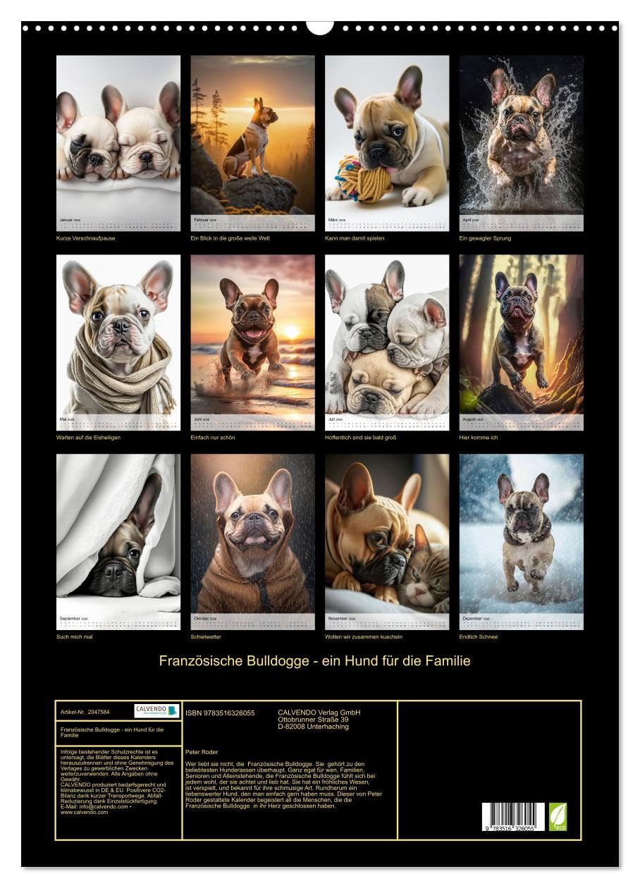 Französische Bulldogge - ein Hund für die Familie (Wandkalender 2026 DIN A2 hoch), CALVENDO Monatskalender: Die Französische Bulldogge - lebendig, unbeschwert, umgänglich (CALVENDO Tiere)