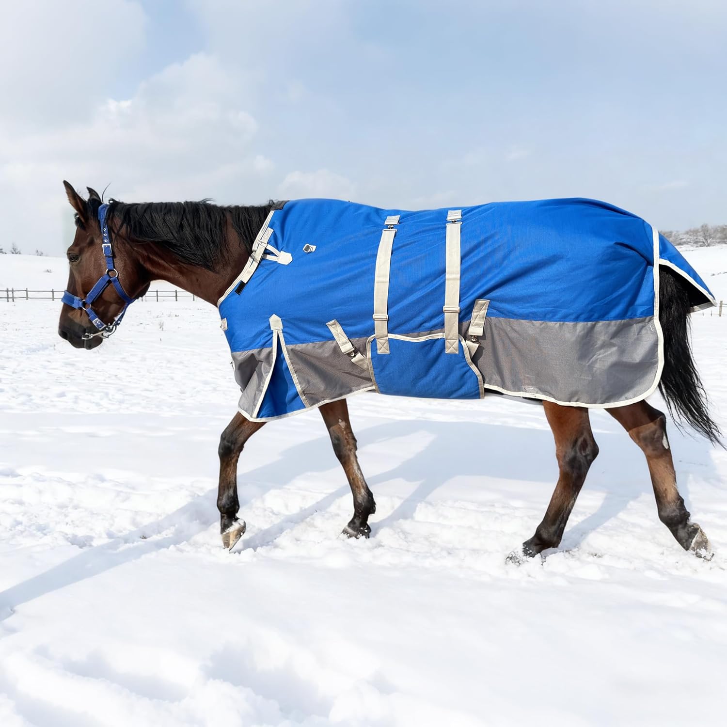 Winter Horse Blanket with Belly Band – Horse Blankets for Real Horses – Medium Weight Turnout Blanket - 1200D 260g – 78"