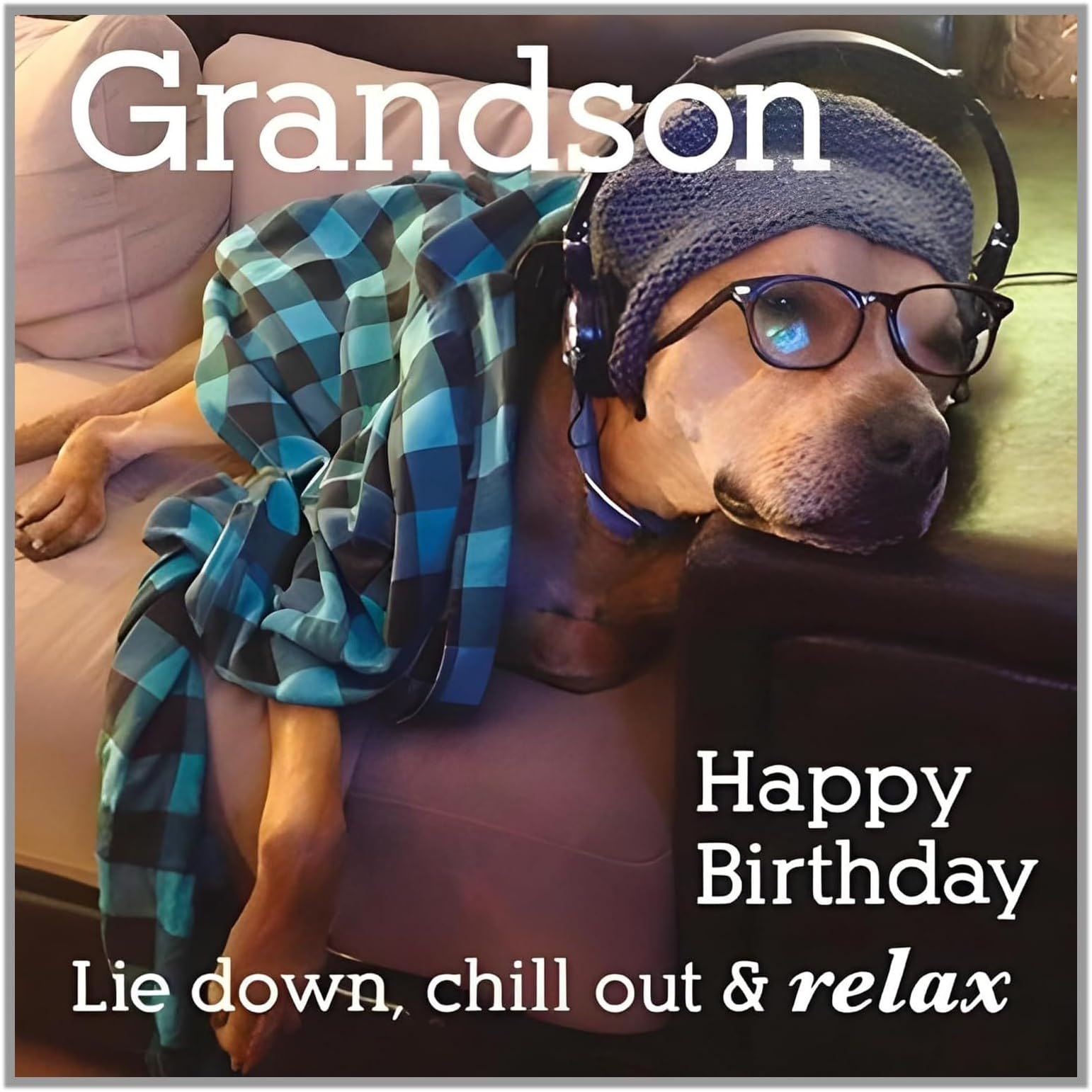 Paper Rose Chilled Grandson' Funny Birthday Card for Men/Boys - 'Chill Out & Relax' Dog on Sofa - Eco-Friendly & Recyclable