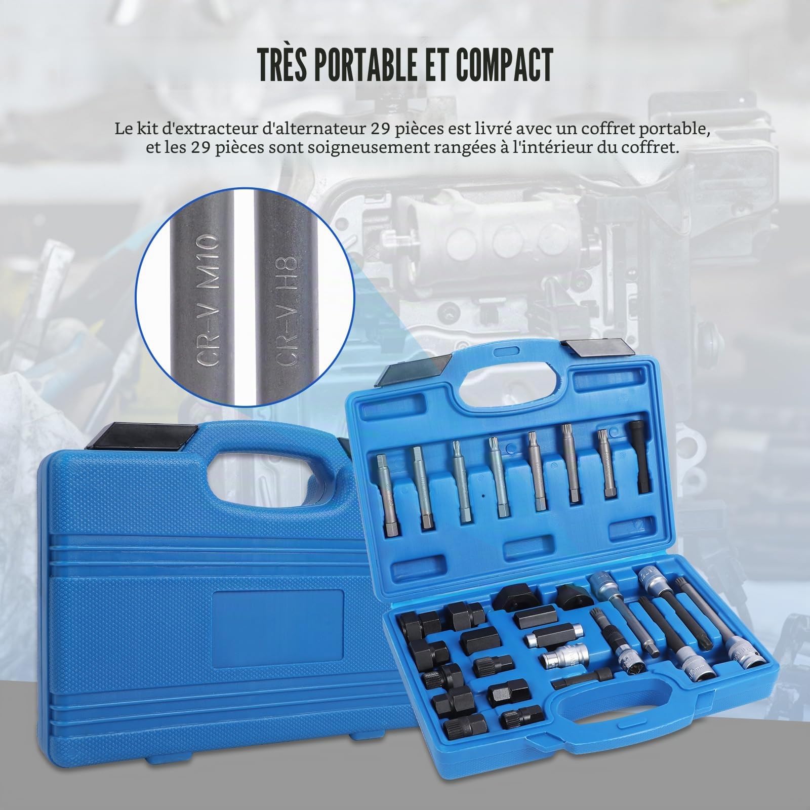 Kit Demontage Poulie Alternateur, 30 Pièces Outil Retrait de Poulie Alternateur Compatible avec VW, pour Peugeot, pour Renault et plus, pour Dépose et Installer Poulie Roue Libre | Acier au chrome vanadium avec mallette de transport, compatible avec alter
