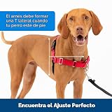 Ver la foto 6