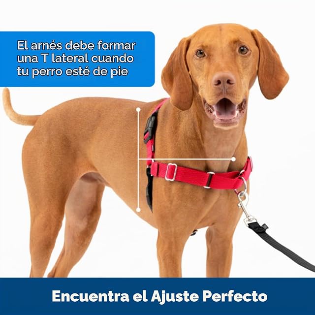 Foto 6 de 7 de PetSafe Easy Walk - Arnés Antitirones para Perros, 4 Puntos de Ajuste, Adiestramiento de Perros, Evita…