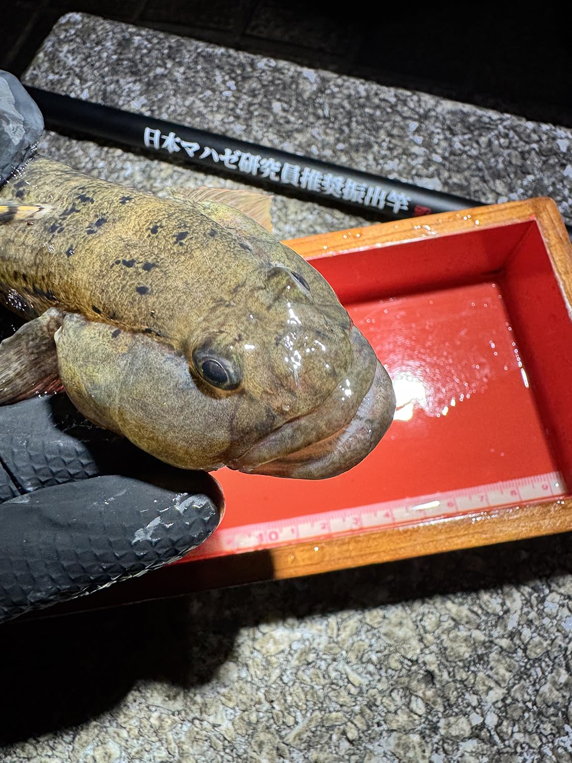 Amazon | ハゼプロ トーキョーマハゼ 日本マハゼ研究員推奨振出竿 210