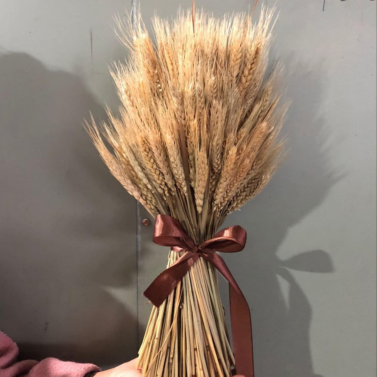 Lot 100 Tiges Blé Séché Naturel - Décoration Automne Mariage Boho Rustique 38-40cm