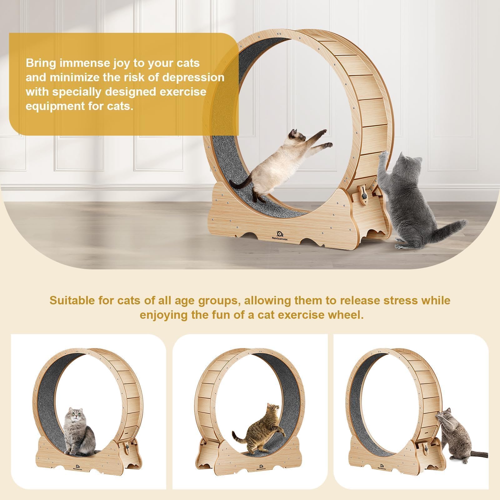Amazon.com: Naviconvex Cat Exercise Wheel, 48