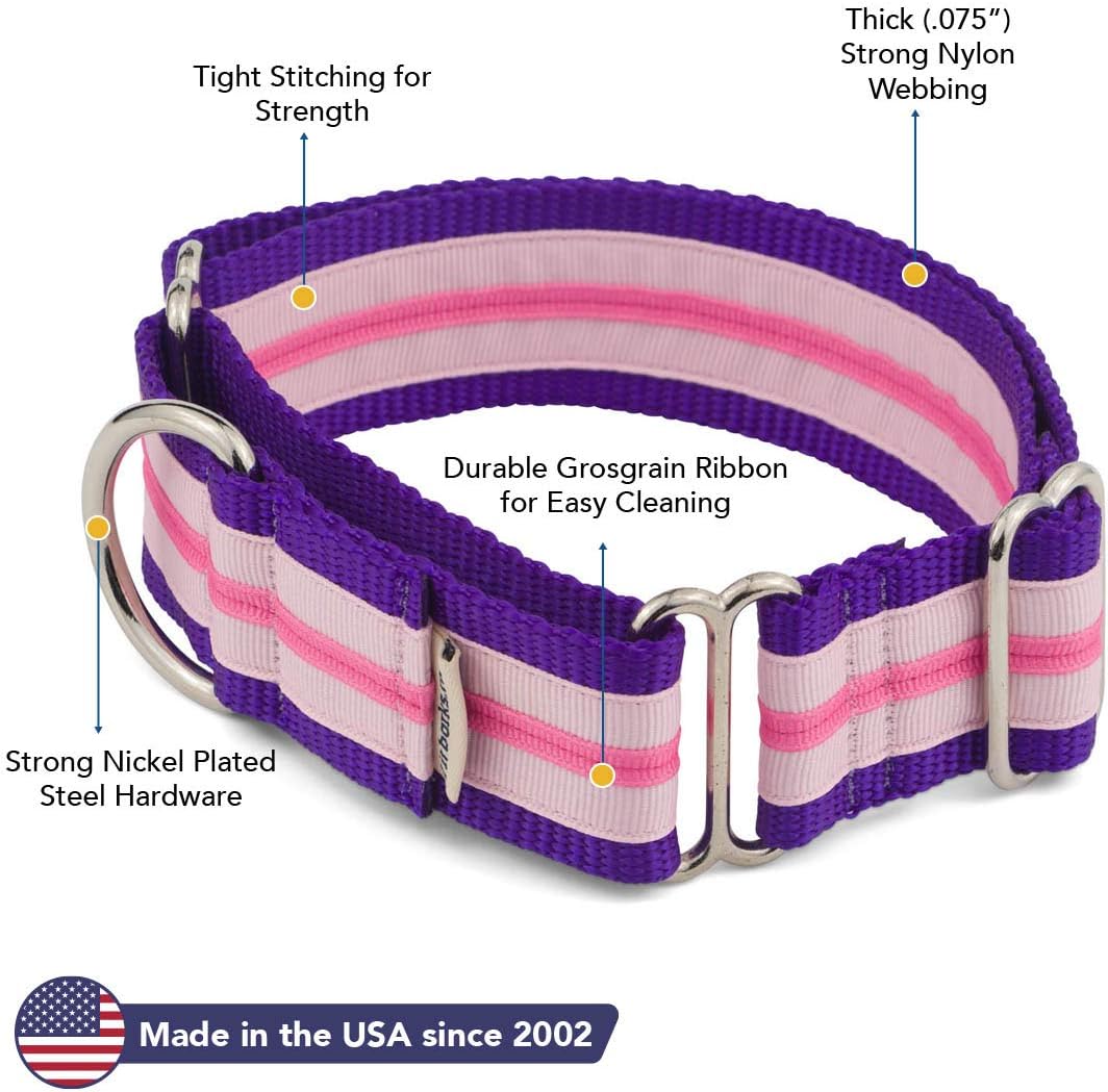 If It Barks - 1.5" Martingale Collar for Dogs - Stripe Design - Adjustable - Strong and Comfy Nylon - Ideal for Training - Made in USA - Small, Dahlia