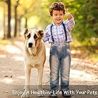 Vista 7 de 6 piezas para eliminar piojos en la cabeza, peine de pelo con lupa, herramienta de dientes de metal fino para perros, gatos, mascotas, aseo humano