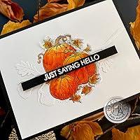 Vista 2 de Hero Arts H6482 Sello de bloque de madera, racimo de calabaza