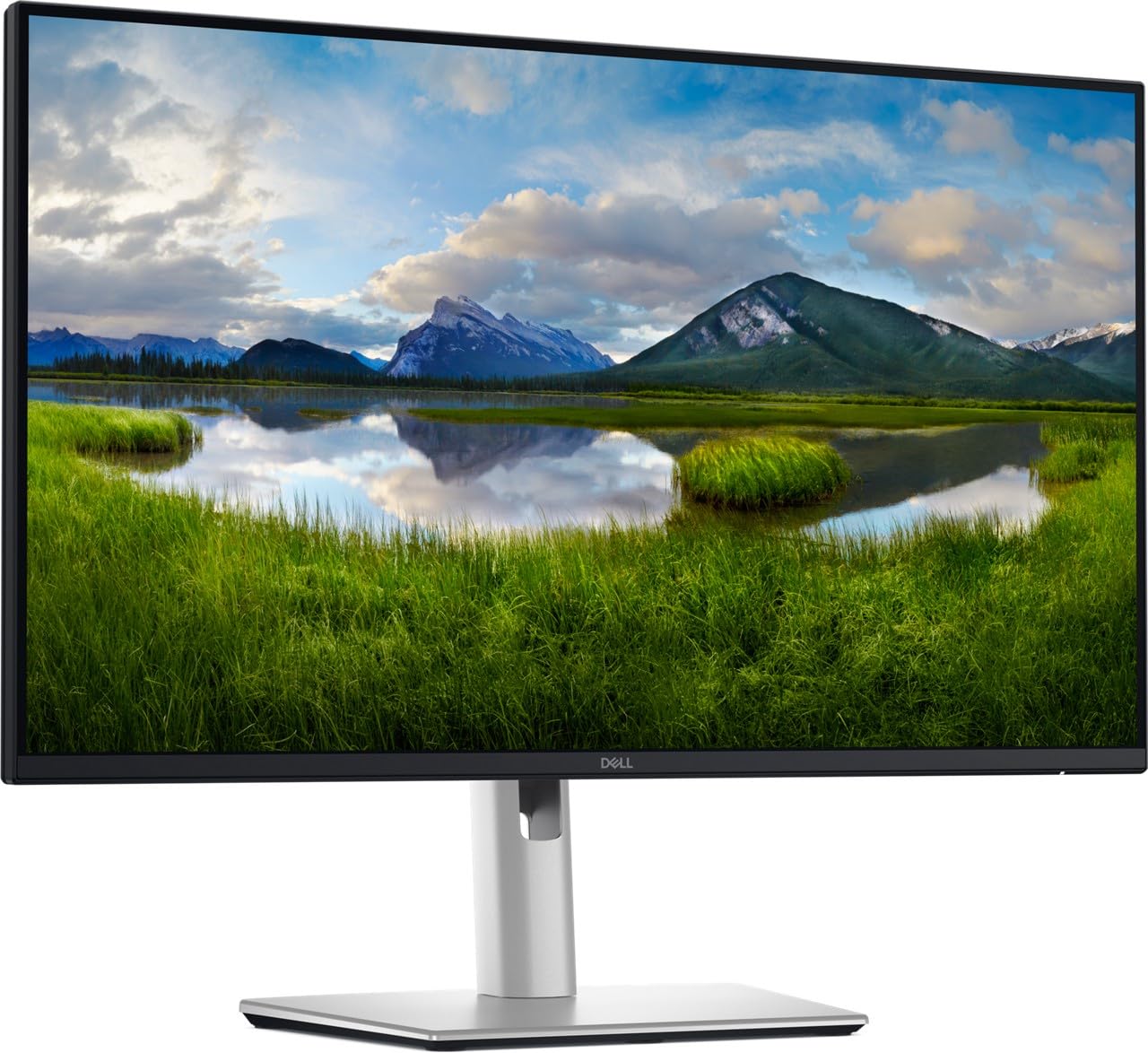 Dell Pro 24 Plus QHD USB-C Hub Monitor - P2425DE : Amazon.sg