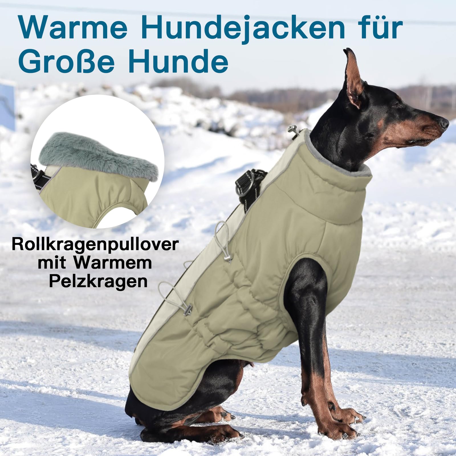 Cappotto invernale per cani grande, resistente all'acqua, riflettente, con pettorina e chiusura lampo antiscivolo, caldo e morbido, Border Collie, Dalmata, Albicocca, XL