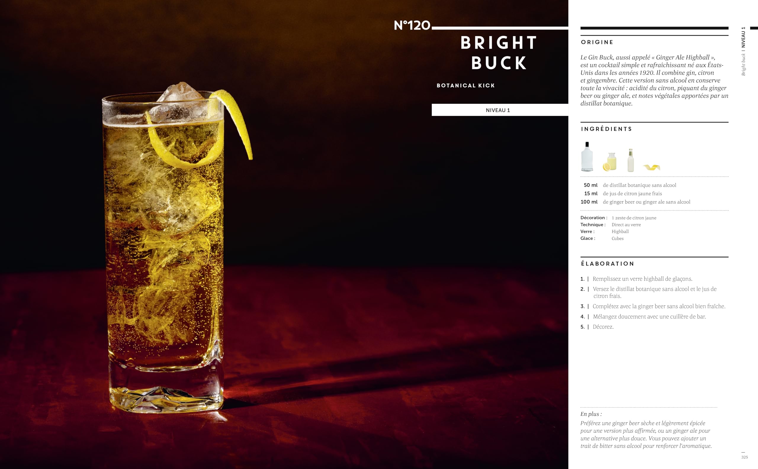 Le grand cours de cocktails & mocktails: 400 recettes avec et sans alcool