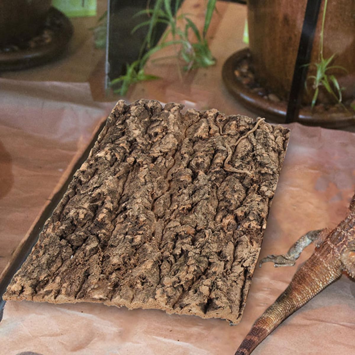 Abaodam Decoración de Corteza de Árbol de Reptil 4 Piezas Café | Fondo para Terrario y Acuario, Fácil de Cortar y Colocar, sin Mantenimiento