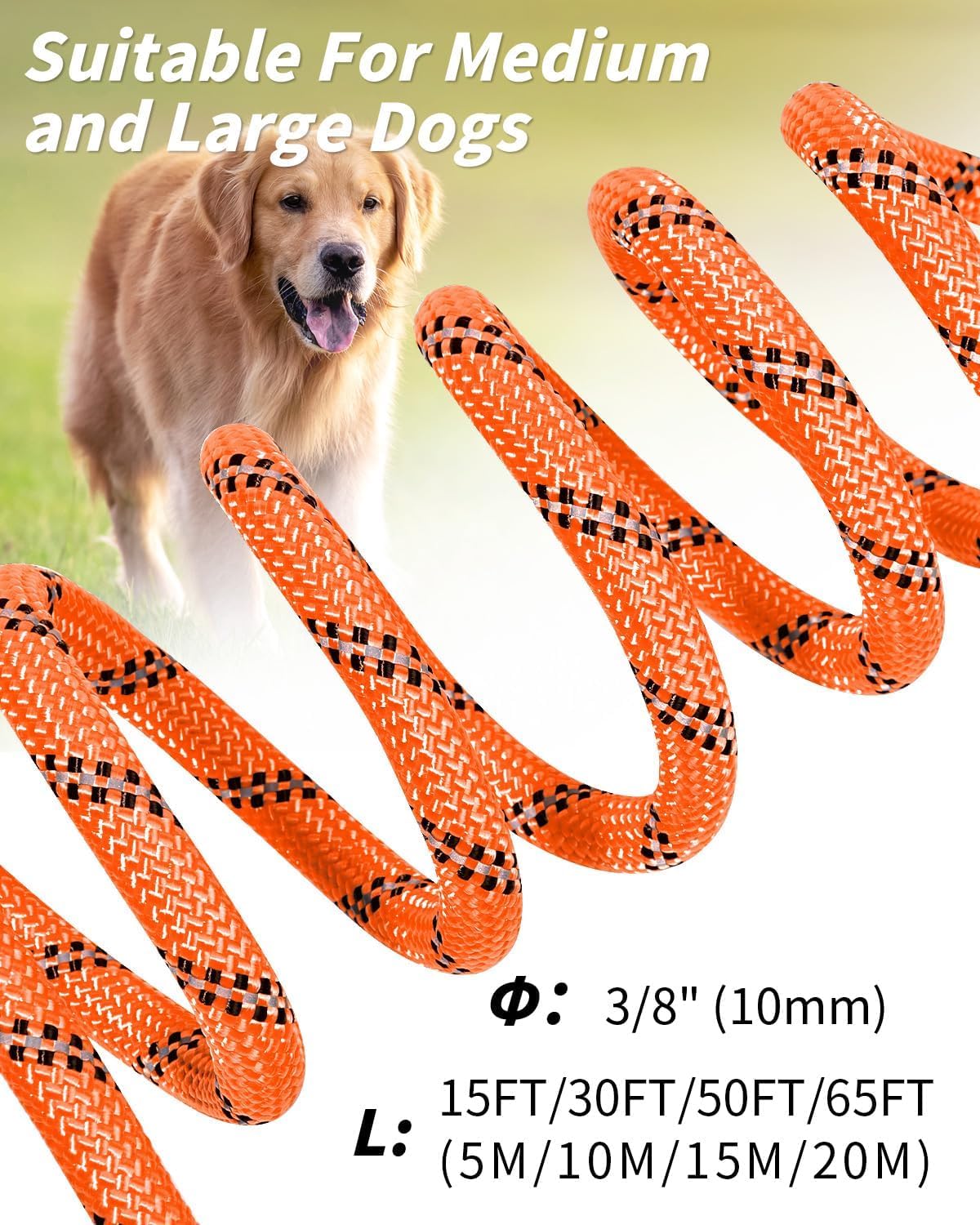 Joytale Guinzaglio Addestramento per Cani, Lunghina 5/10/15/20 Metri con Gancio Robusto e Manico Imbottito, per Taglia Piccola e Grande (Arancione, 15m)