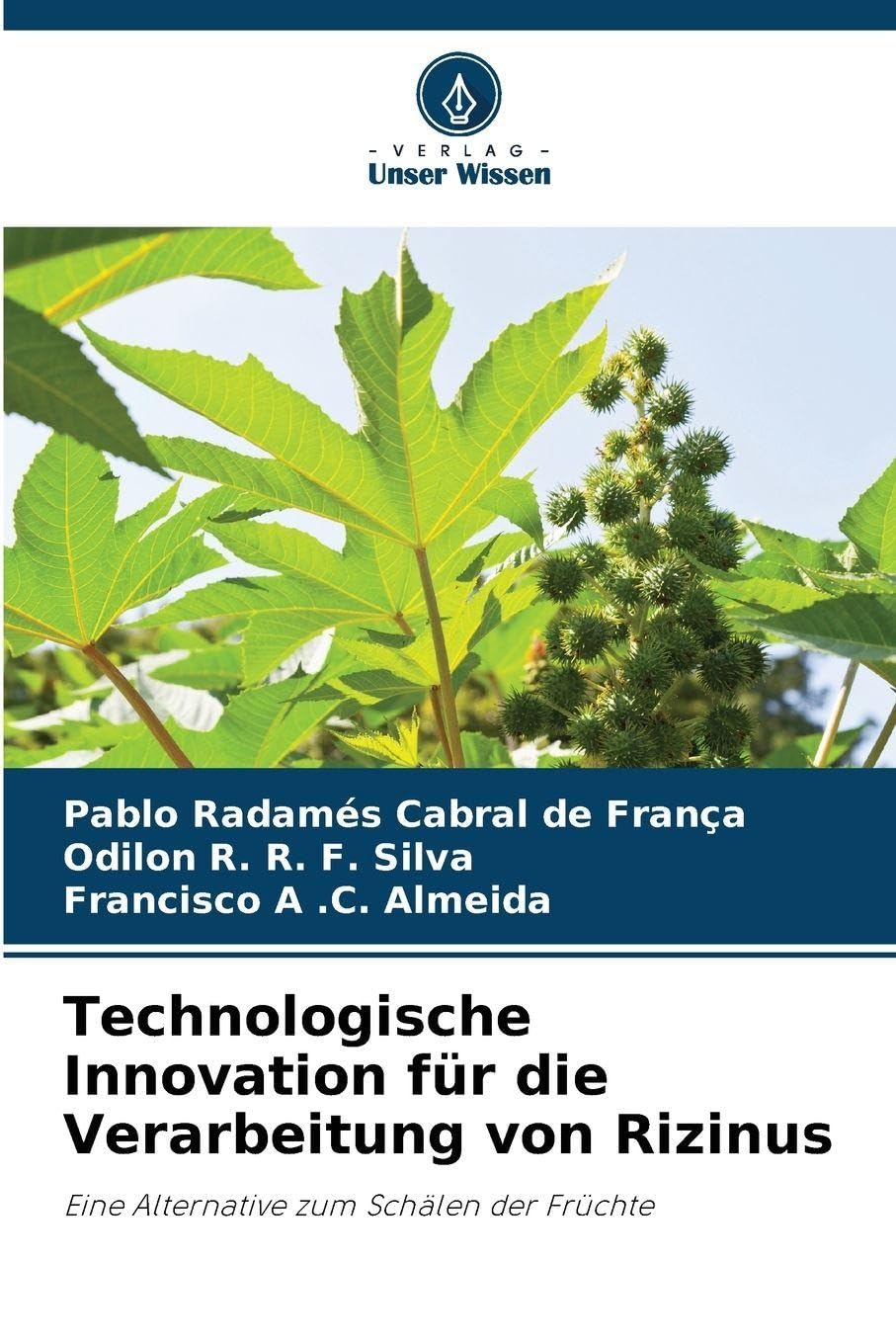 Technologische Innovation für die Verarbeitung von Rizinus: Eine Alternative zum Schälen der Früchte