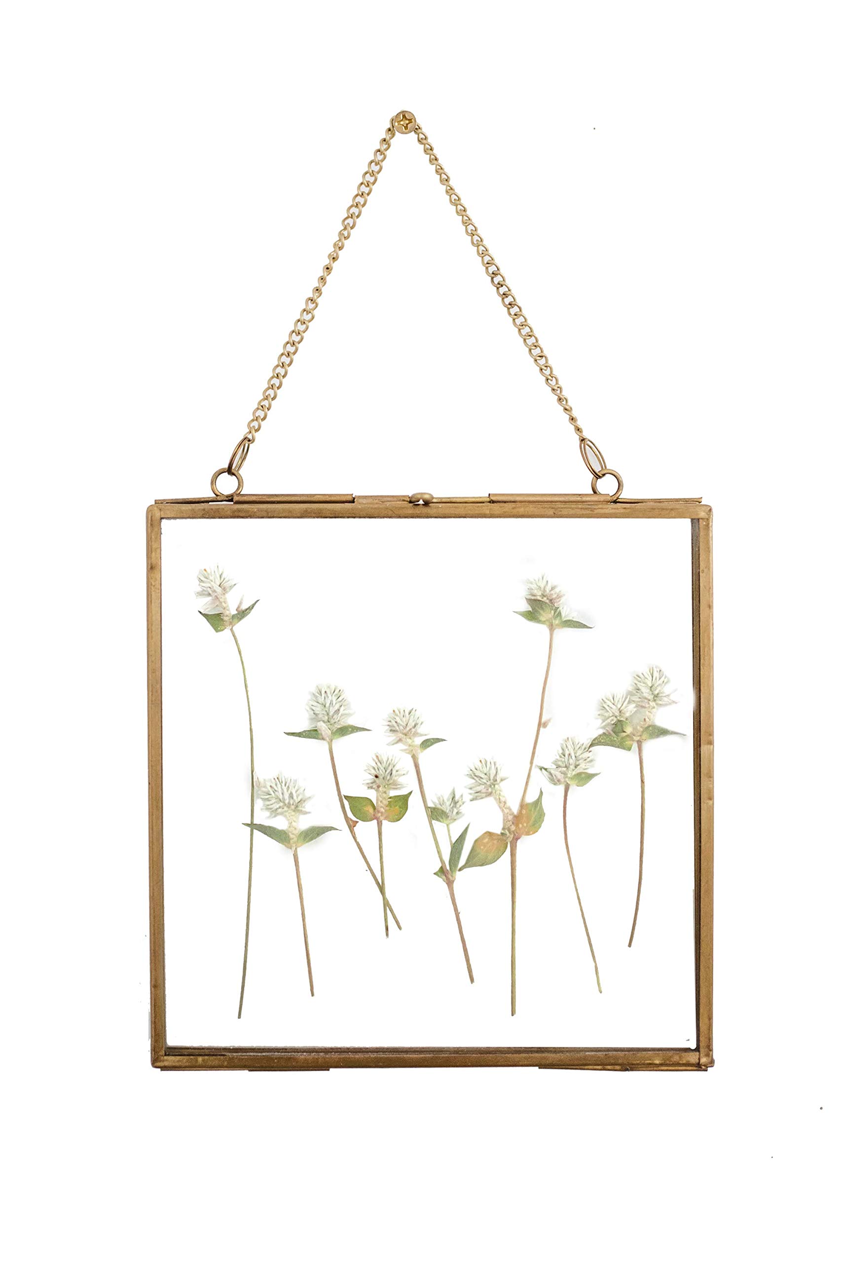 Grey House Pressed Flower Frame Square Design 6"x6" Gold Hanging Picture Frame