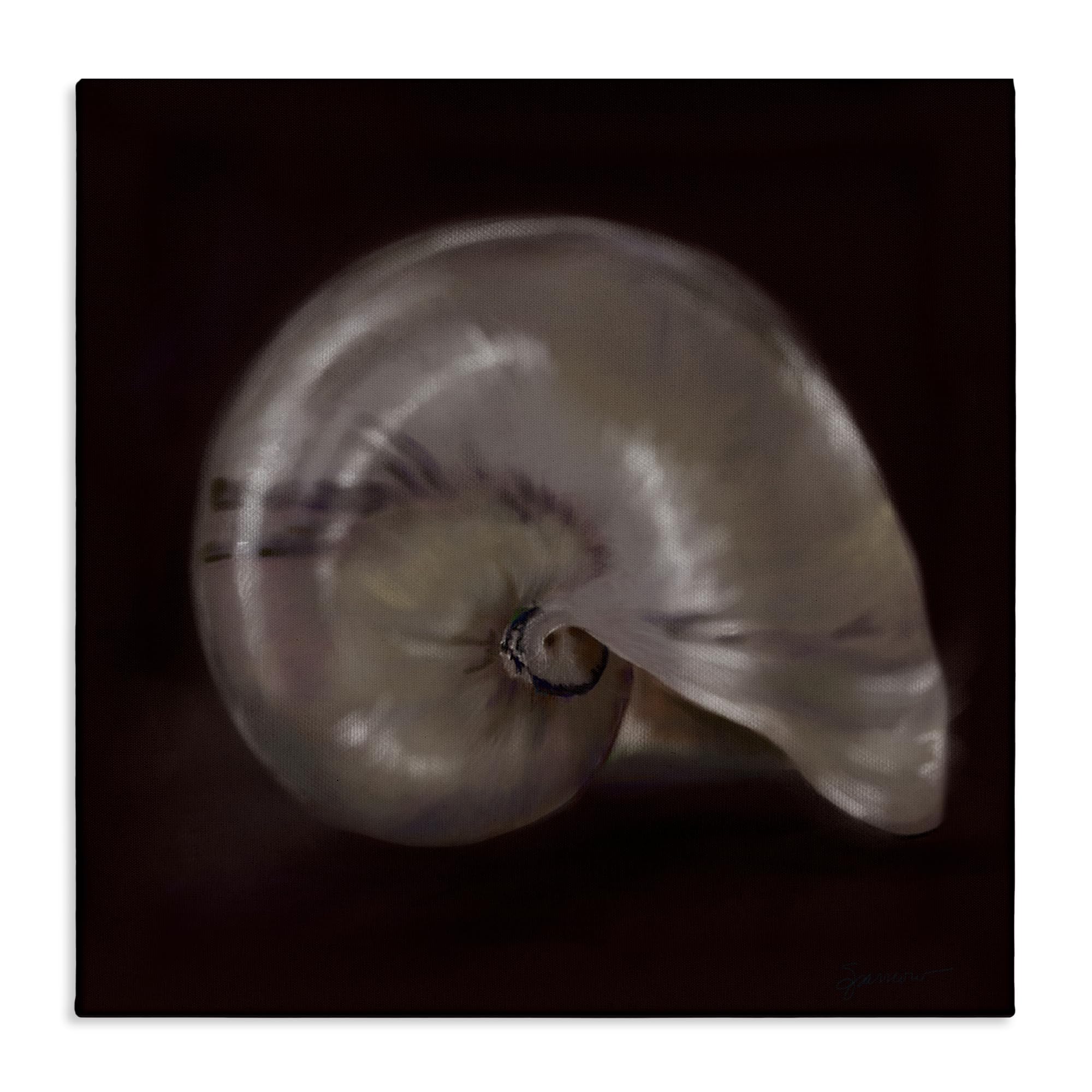 'Seashell Treasure of Sea'| Canvas Art